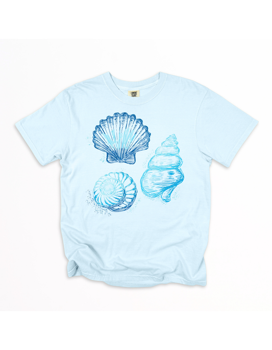 Shells