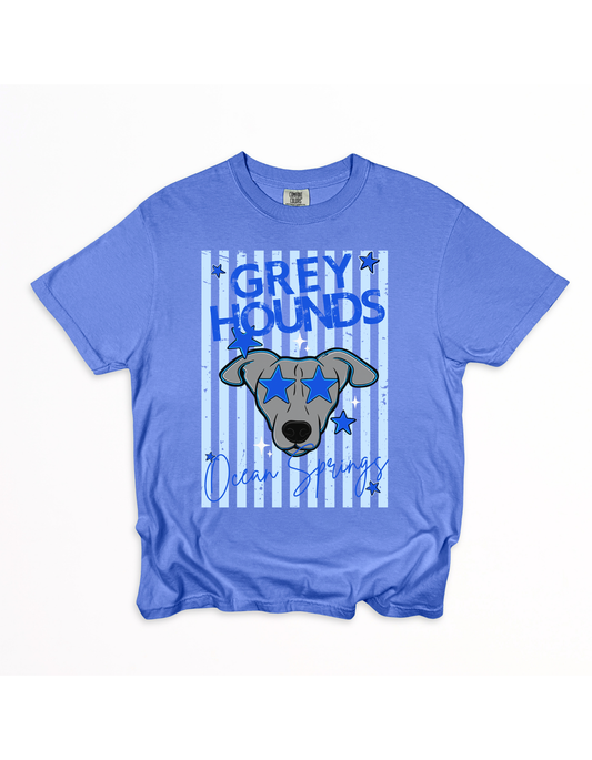 Greyhound stripe with mascot
